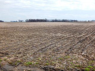 Property photo 6 - MAJOR LAND AUCTION - 313+/- ACRES OFFERED IN 7 TRACTS IN IROQUOIS COUNTY, ILLINOIS